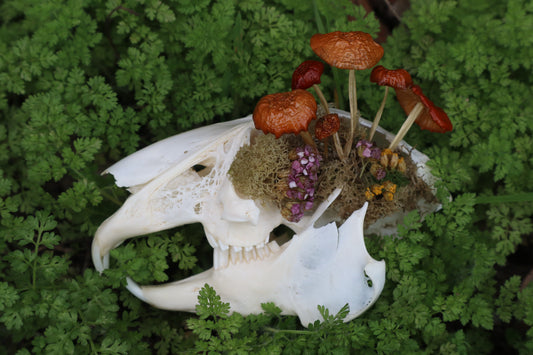 Reserved for Dan Antonacci - Jack Rabbit Mushroom Skullpture