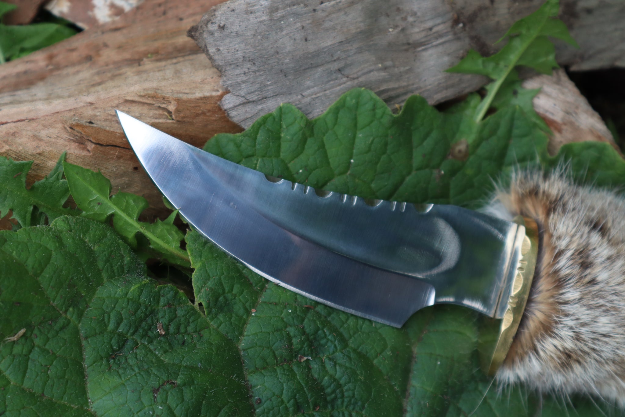 Bobcat Paw Knife with Leather Sheath