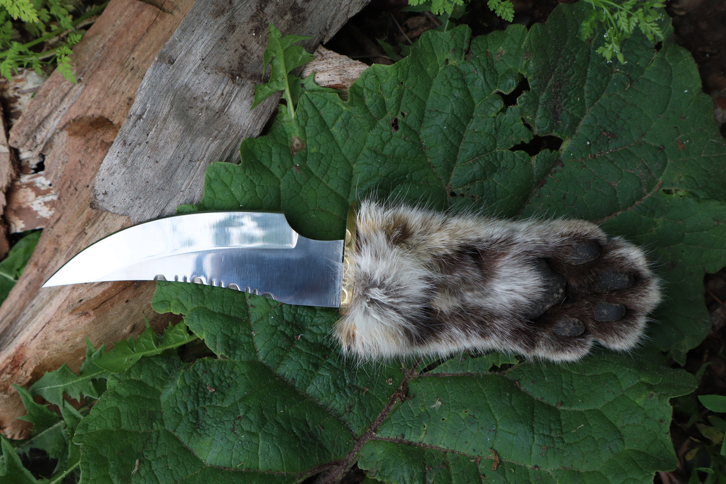 Bobcat Paw Knife with Leather Sheath