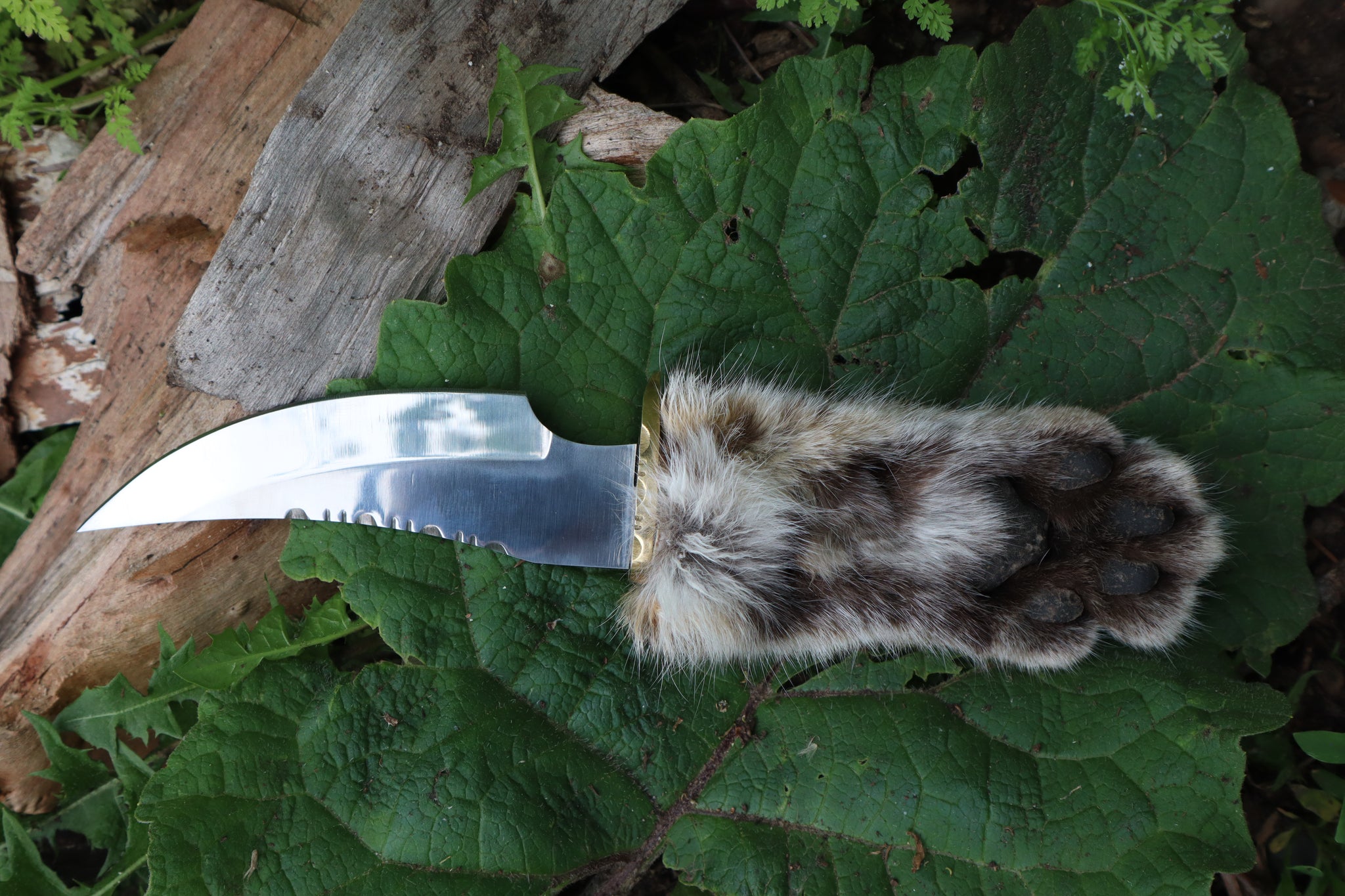 Bobcat Paw Knife with Leather Sheath