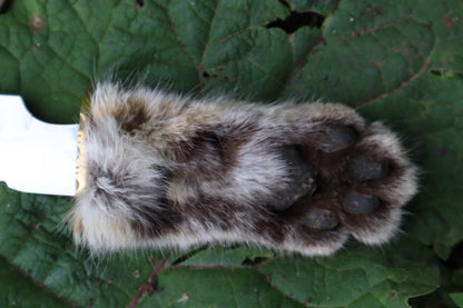 Bobcat Paw Knife with Leather Sheath