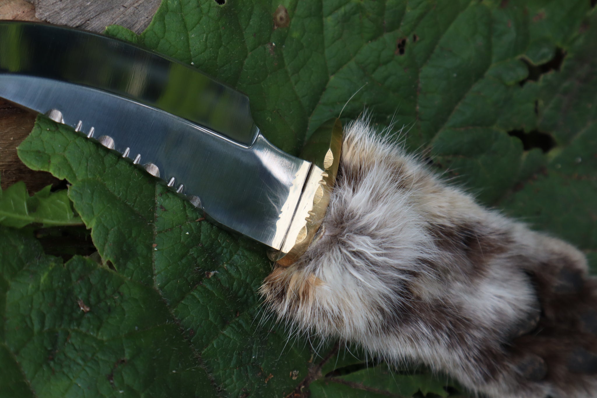 Bobcat Paw Knife with Leather Sheath