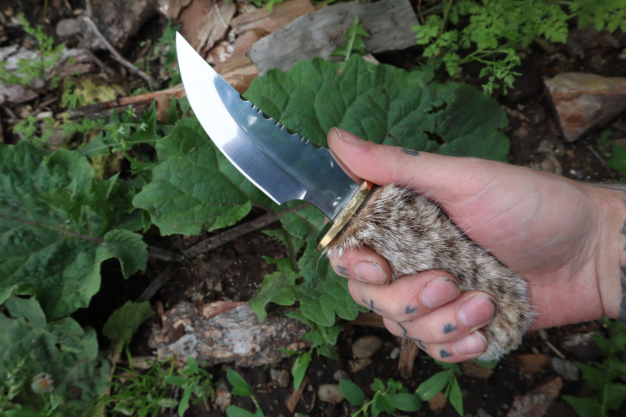 Bobcat Paw Knife with Leather Sheath