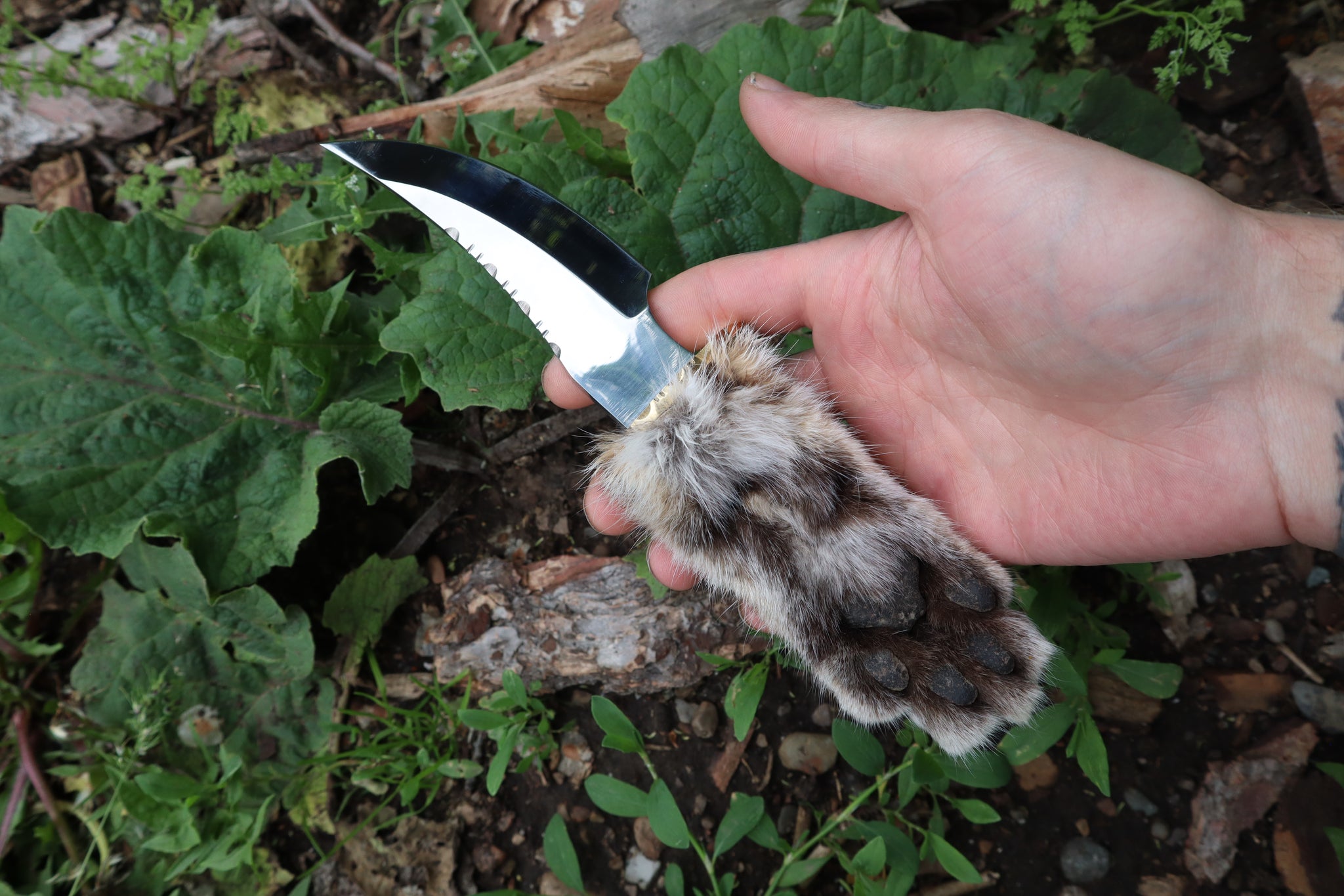 Bobcat Paw Knife with Leather Sheath