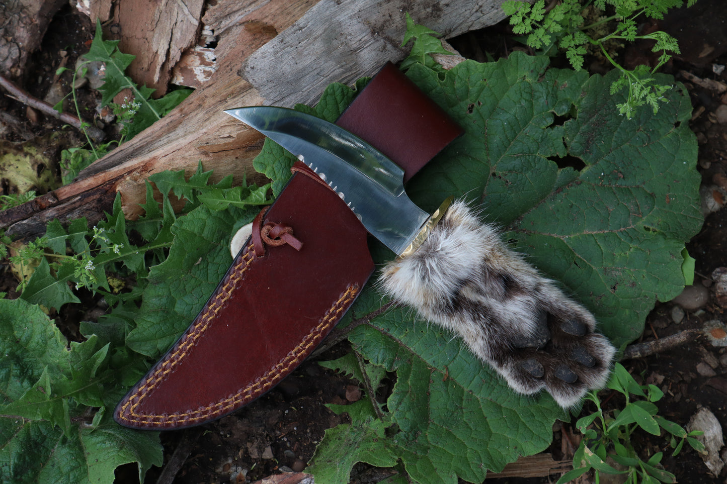 Bobcat Paw Knife with Leather Sheath