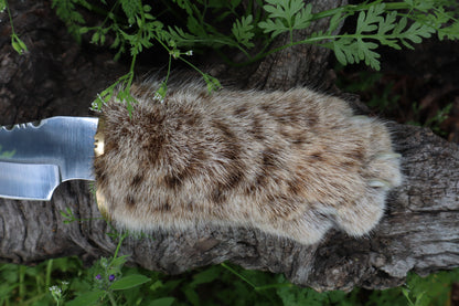 Bobcat Paw Knife with Leather Sheath