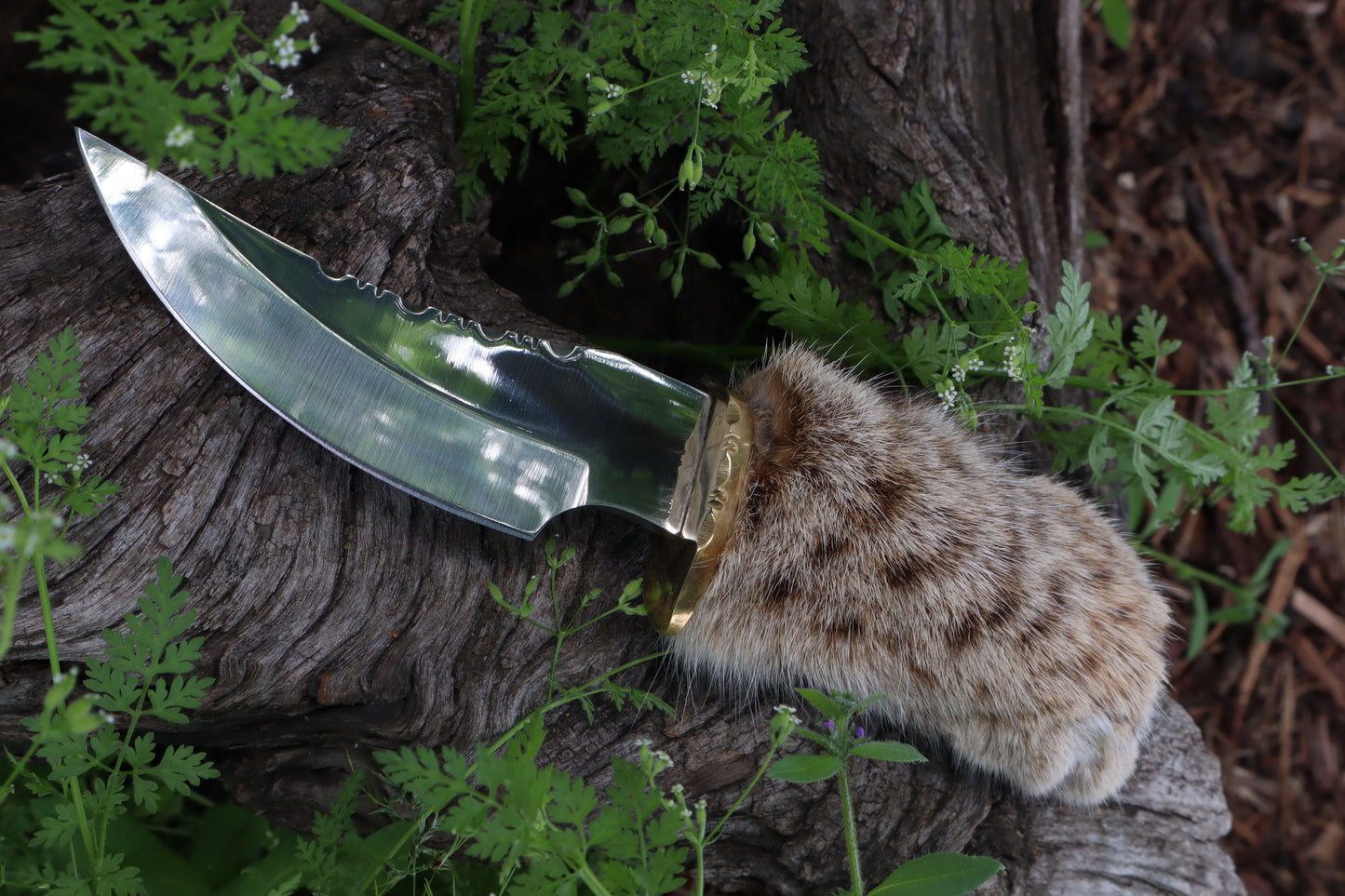 Bobcat Paw Knife with Leather Sheath