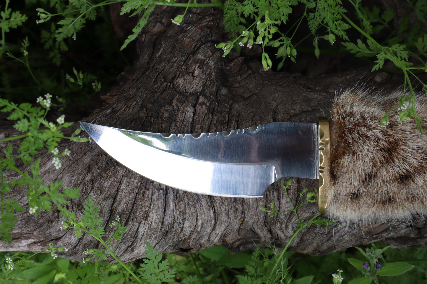 Bobcat Paw Knife with Leather Sheath