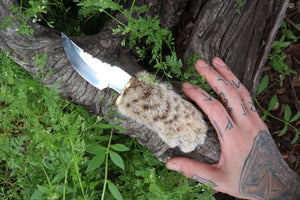 Bobcat Paw Knife with Leather Sheath
