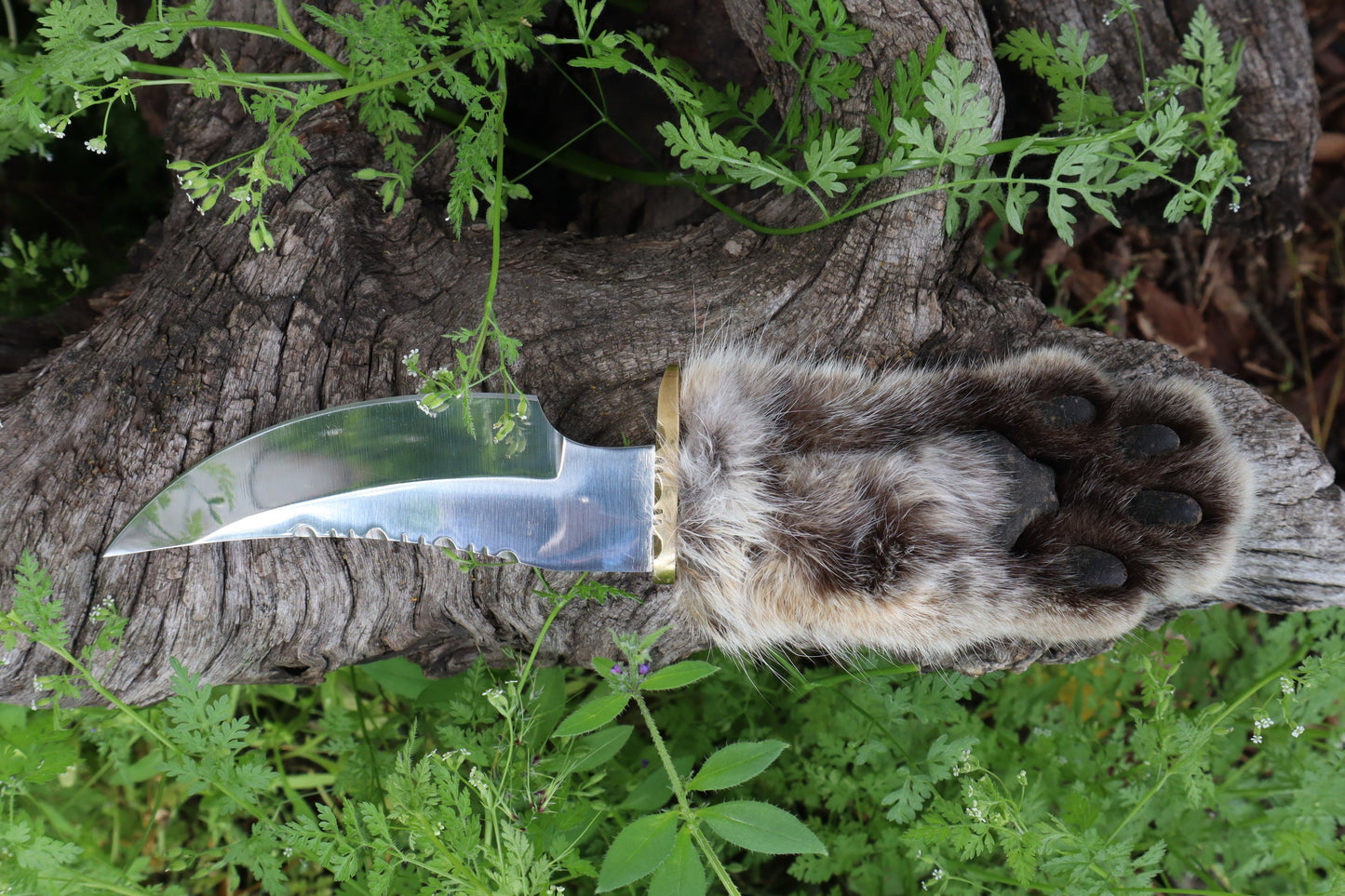Bobcat Paw Knife with Leather Sheath