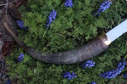 Goat Horn Hatchet