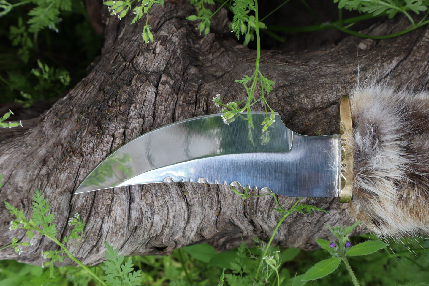 Bobcat Paw Knife with Leather Sheath