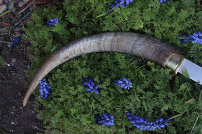 Goat Horn Hatchet