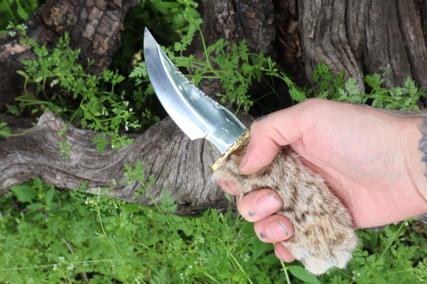 Bobcat Paw Knife with Leather Sheath