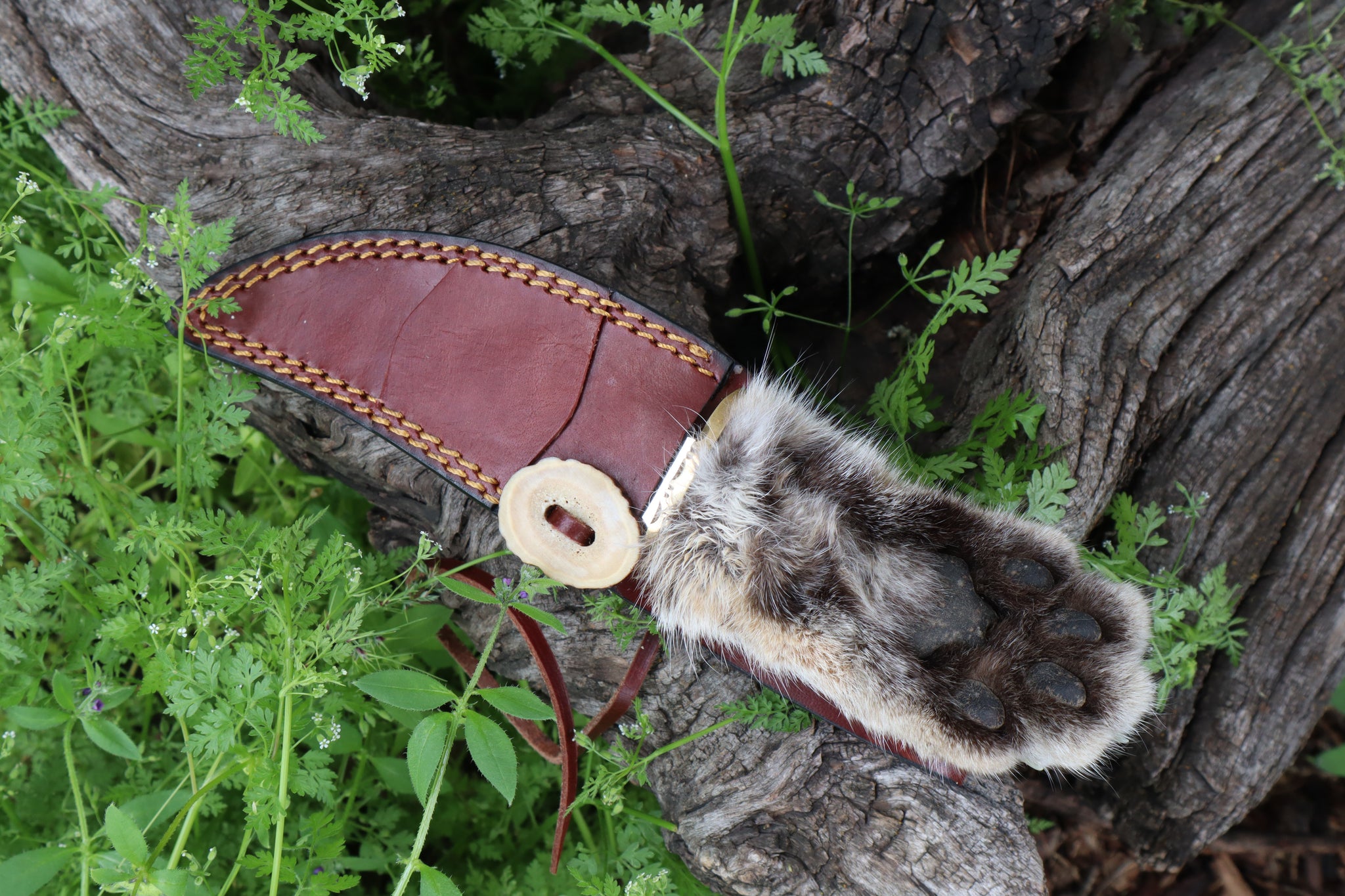 Bobcat Paw Knife with Leather Sheath