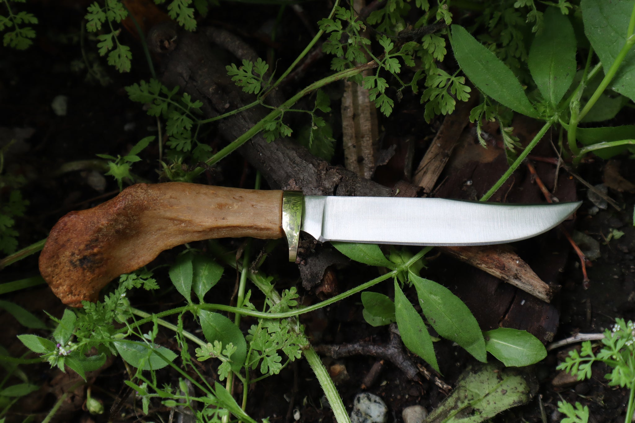 “The Little Key” Human Clavicle Knife