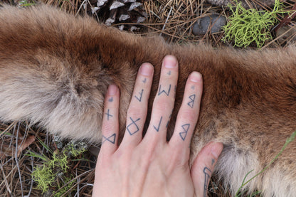 Mountain Lion Tail