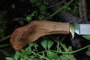 “The Little Key” Human Clavicle Knife
