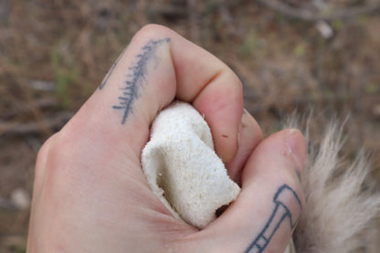 Mountain Lion Tail
