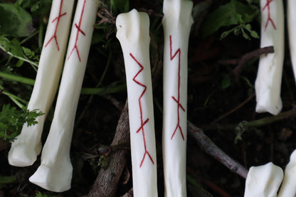 Múspellzheimr Gray Wolf Phalanges