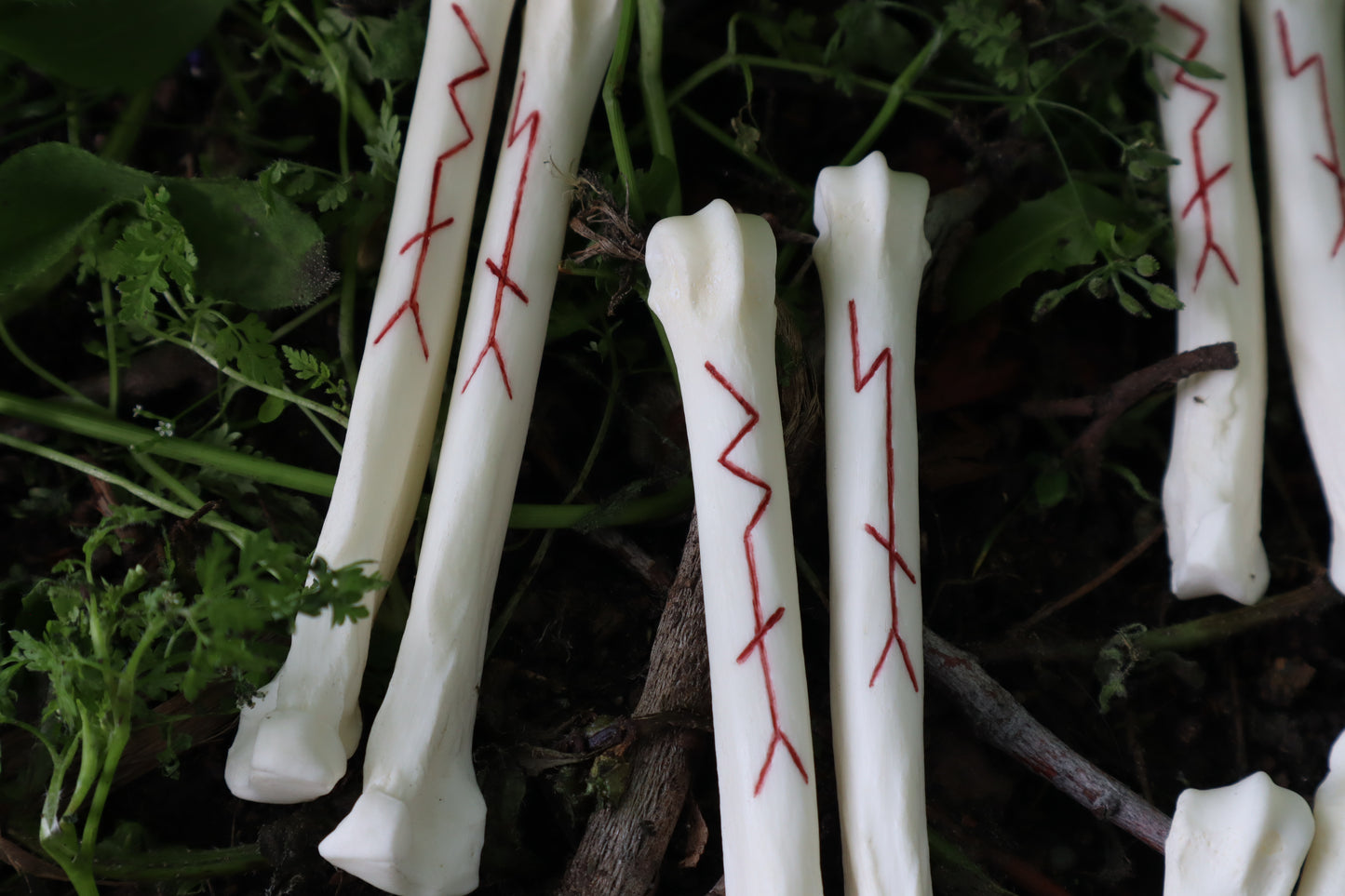 Múspellzheimr Gray Wolf Phalanges