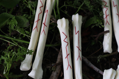Múspellzheimr Gray Wolf Phalanges