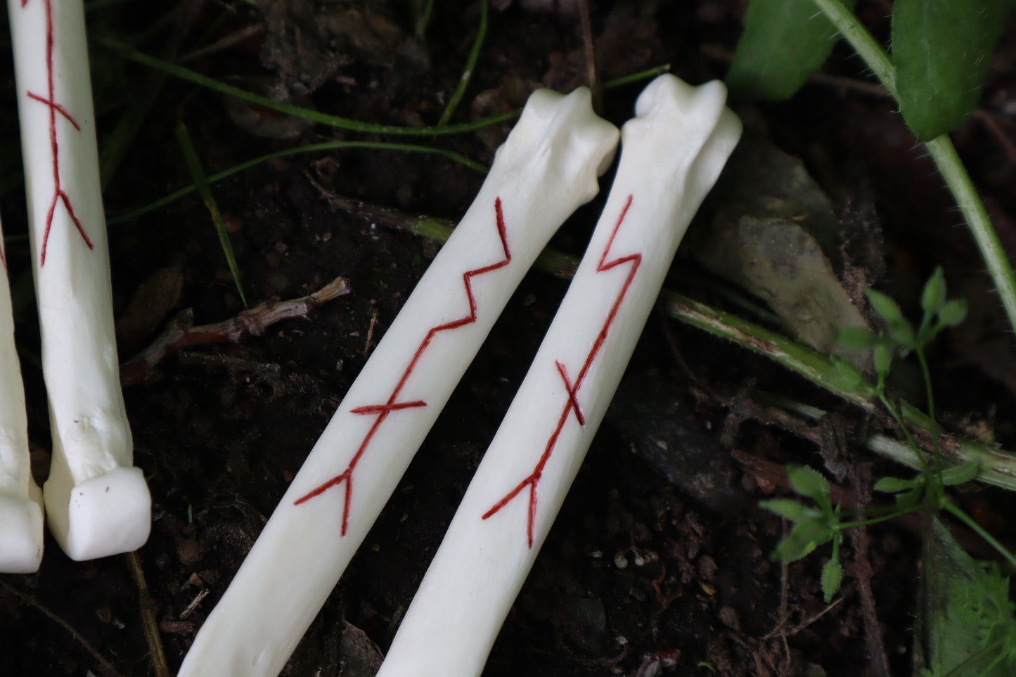 Múspellzheimr Gray Wolf Phalanges
