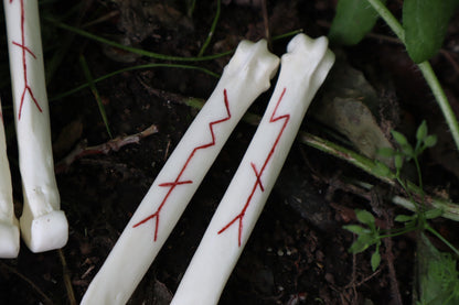 Múspellzheimr Gray Wolf Phalanges