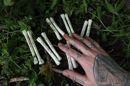 Múspellzheimr Gray Wolf Phalanges