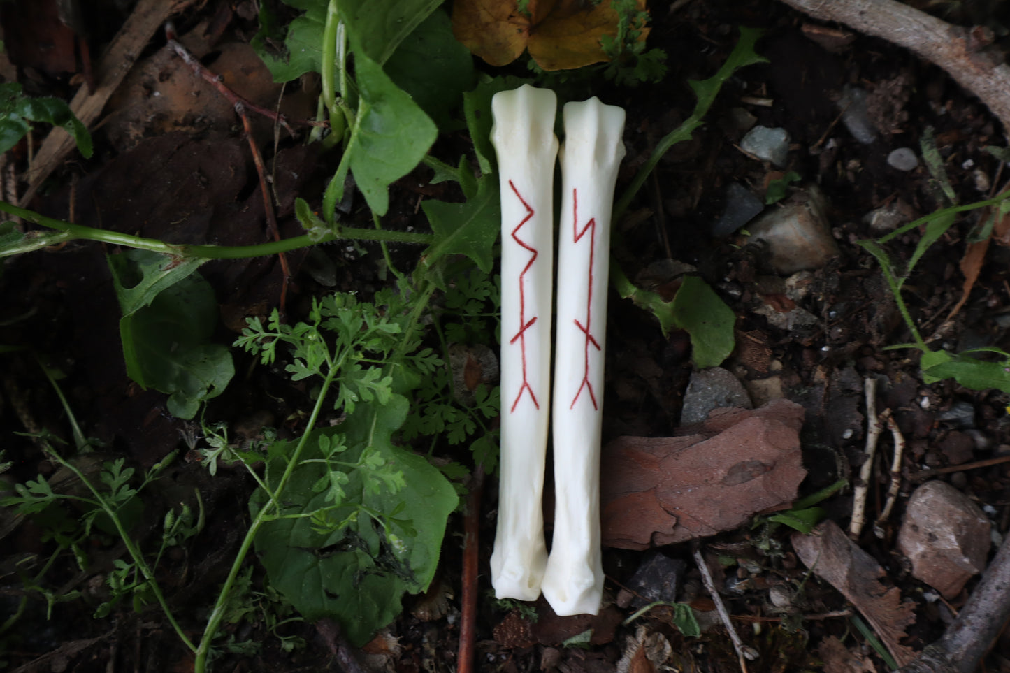 Múspellzheimr Gray Wolf Phalanges