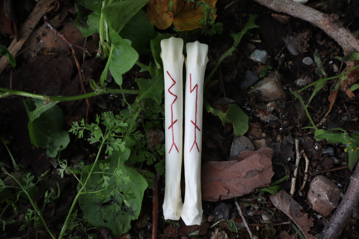 Múspellzheimr Gray Wolf Phalanges