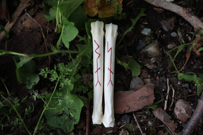 Múspellzheimr Gray Wolf Phalanges