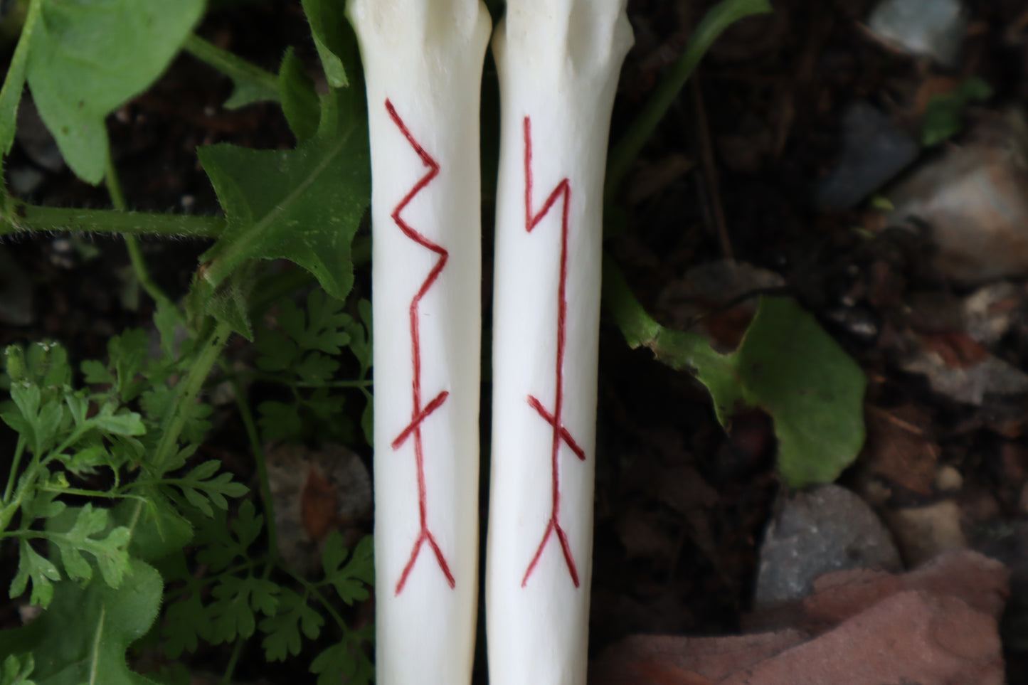 Múspellzheimr Gray Wolf Phalanges