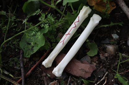 Múspellzheimr Gray Wolf Phalanges