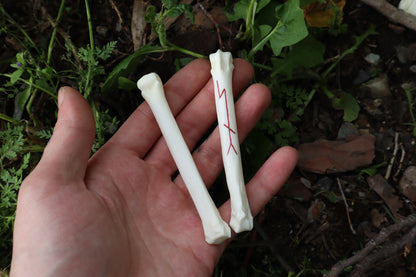 Múspellzheimr Gray Wolf Phalanges