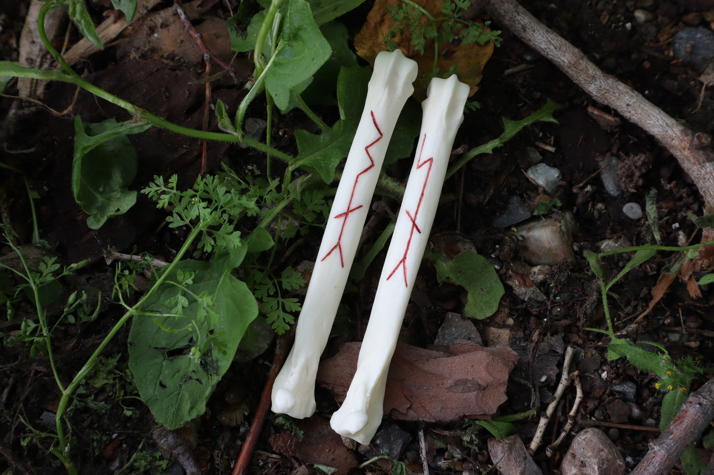 Múspellzheimr Gray Wolf Phalanges