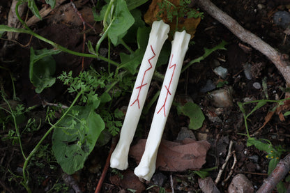 Múspellzheimr Gray Wolf Phalanges