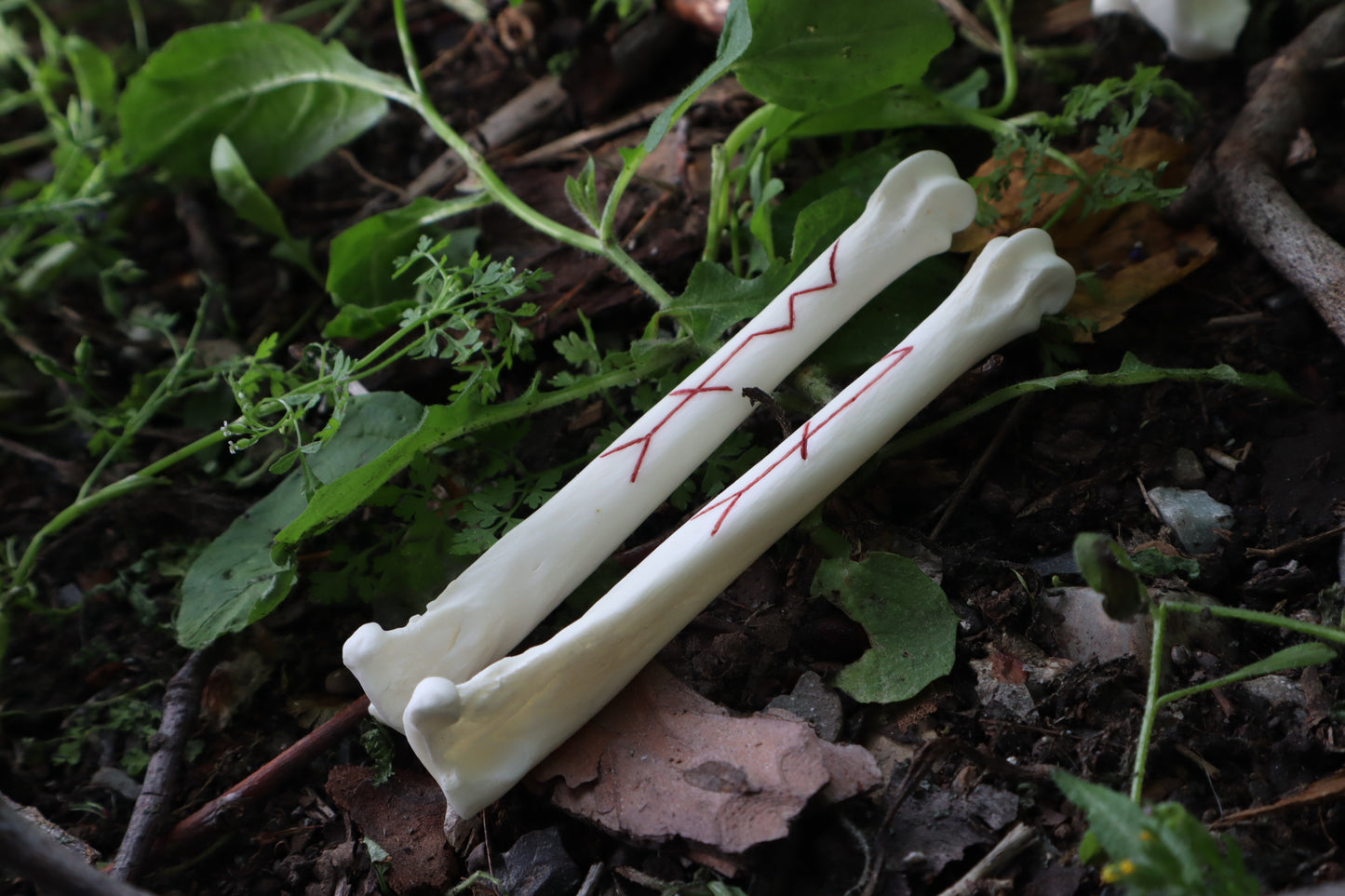 Múspellzheimr Gray Wolf Phalanges