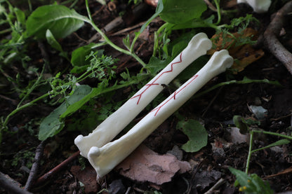 Múspellzheimr Gray Wolf Phalanges