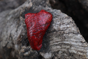 Coyote Heart Pine Trinket