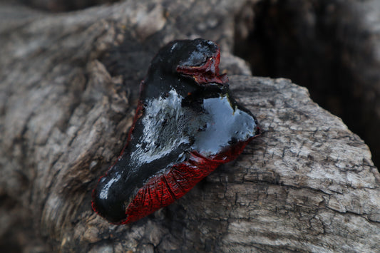 Coyote Heart Pine Trinket