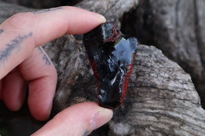 Coyote Heart Pine Trinket