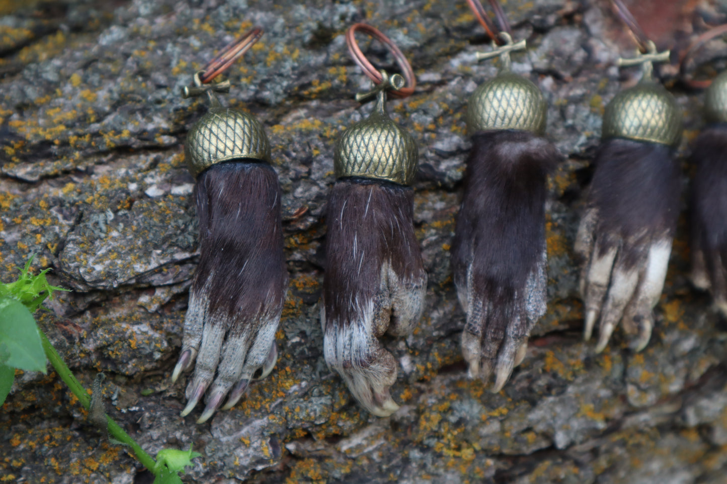Opossum Paw Acorn Keychain