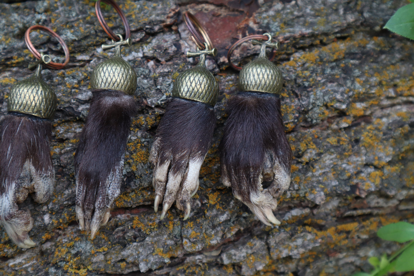 Opossum Paw Acorn Keychain