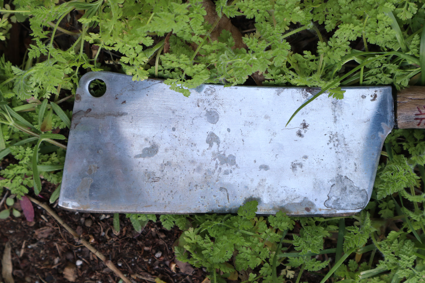 Whitetail Deer Antler Butcher Knife