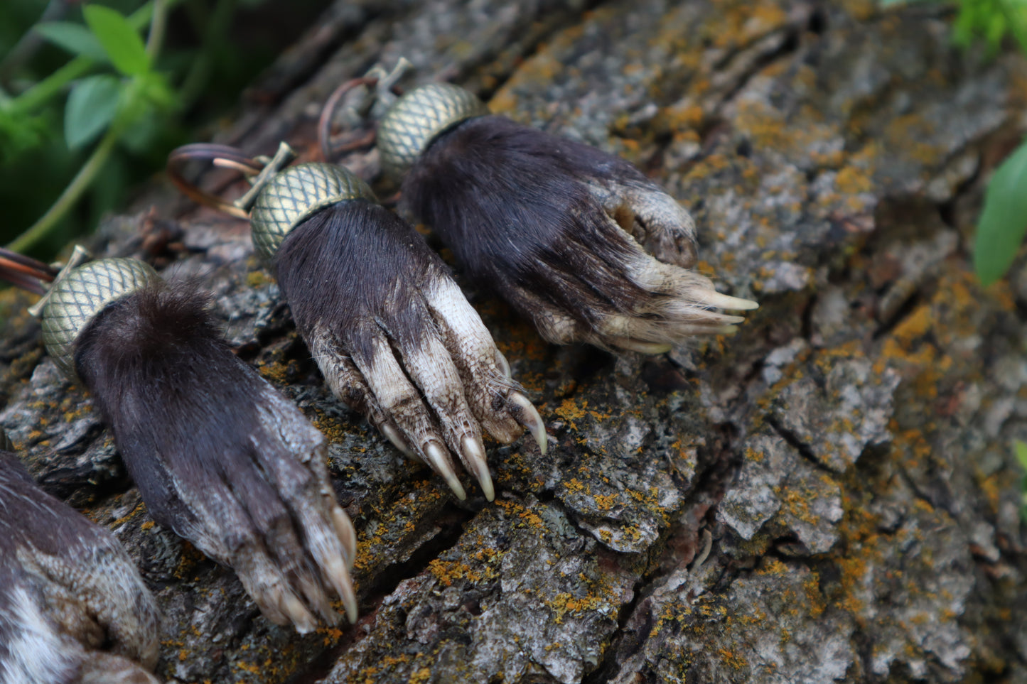 Opossum Paw Acorn Keychain