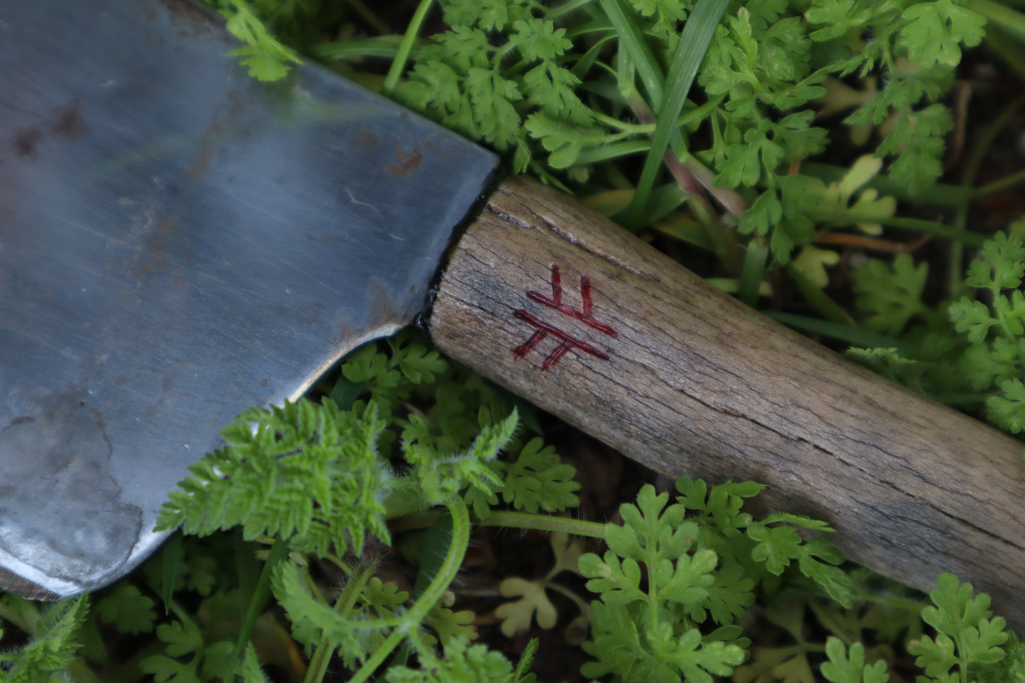 Whitetail Deer Antler Butcher Knife