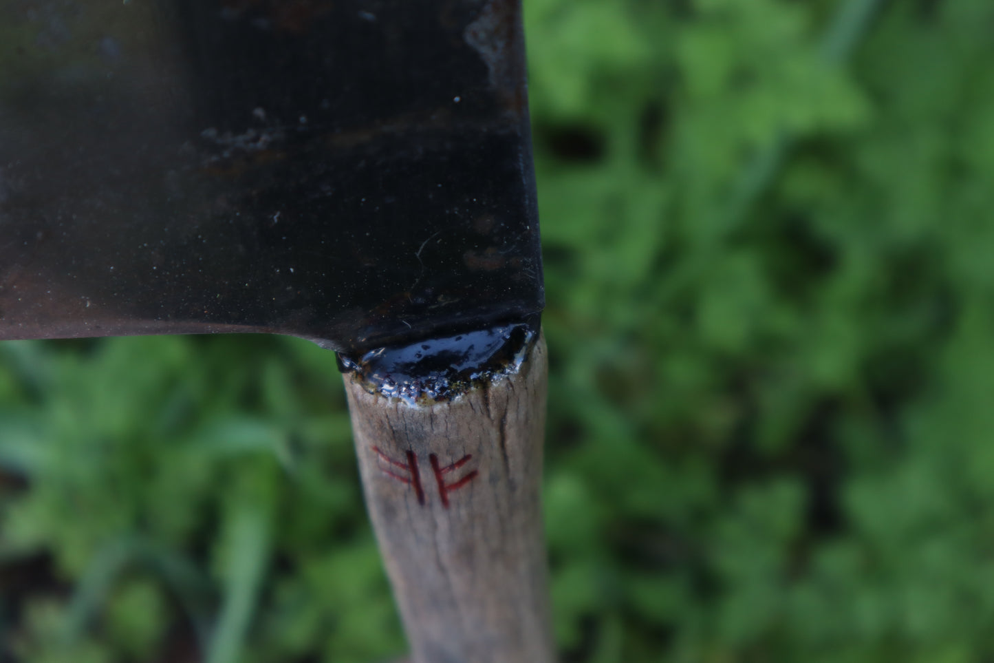 Whitetail Deer Antler Butcher Knife