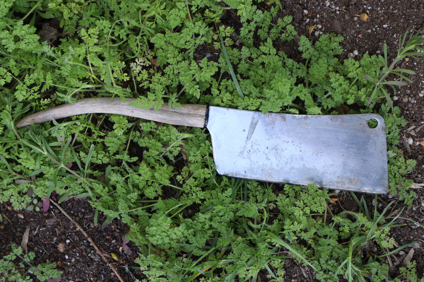 Whitetail Deer Antler Butcher Knife
