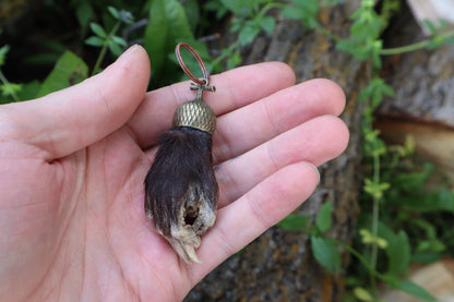 Opossum Paw Acorn Keychain